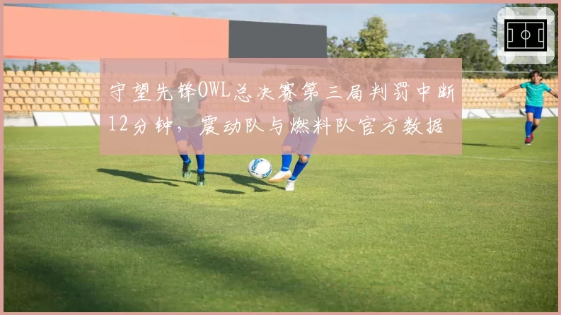 守望先锋OWL总决赛第三局判罚中断12分钟,震动队与燃料队官方数据统计遭质疑